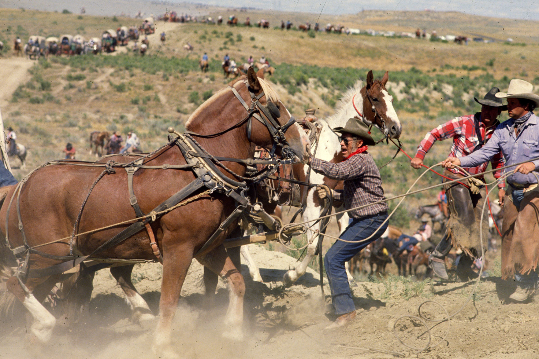 Great Montana Centennial Cattle Drive